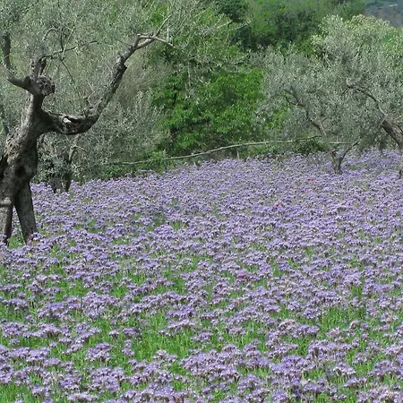 Κατάλυμα σε φάρμα Il Ponticello *