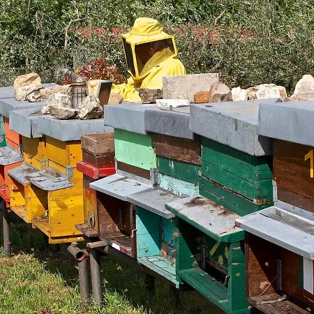 Il Ponticello Gospodarstwo agroturystyczne *