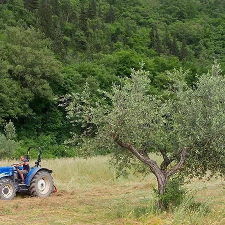 Gospodarstwo agroturystyczne Il Ponticello Vaiano (Tuscany)