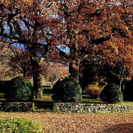 Il Ponticello Gospodarstwo agroturystyczne